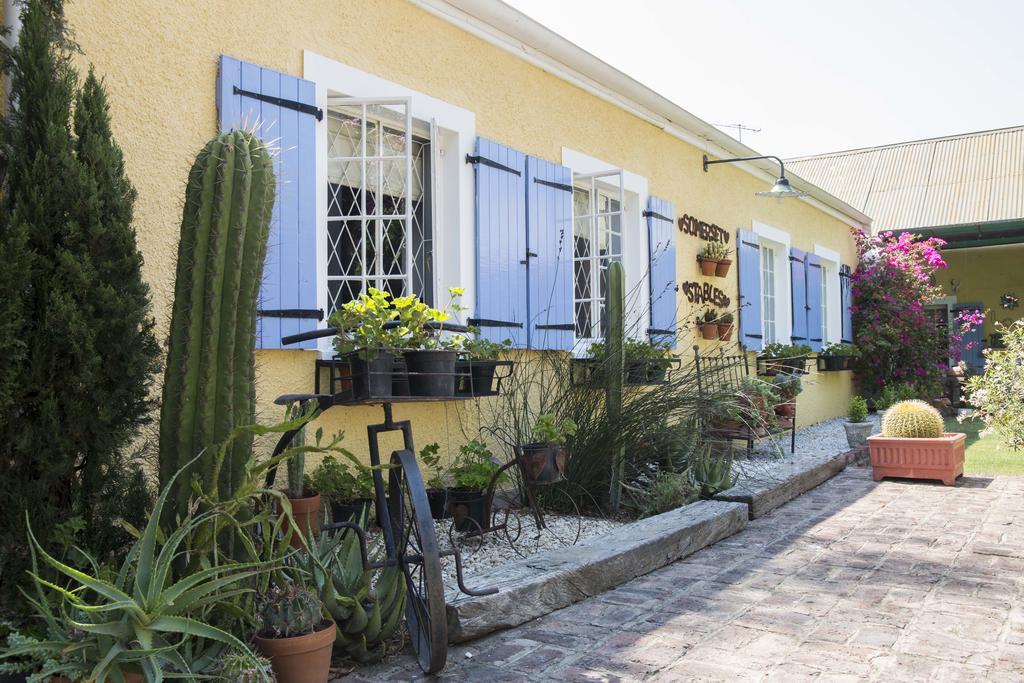 Somerset Stables Graaff-Reinet Eksteriør billede