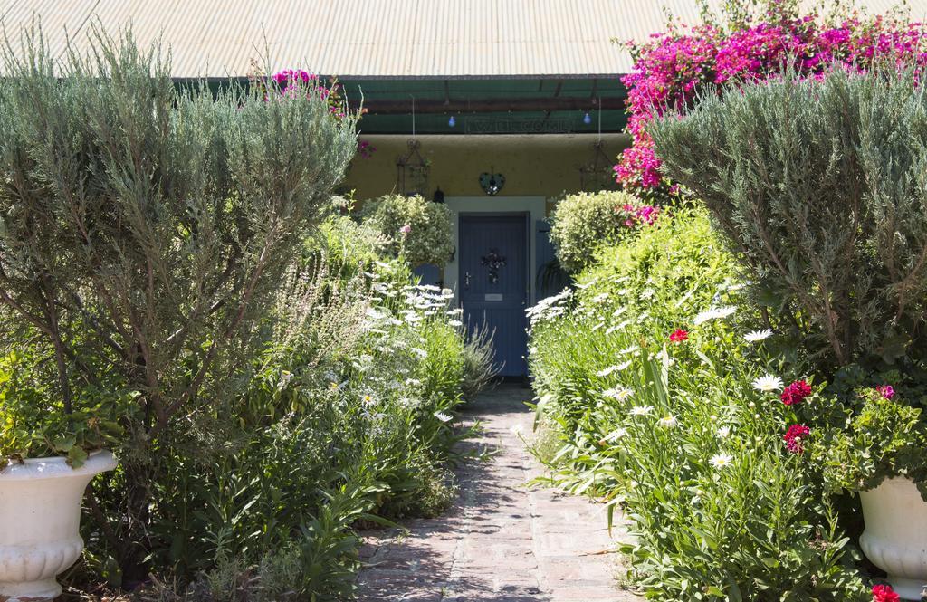 Somerset Stables Graaff-Reinet Eksteriør billede