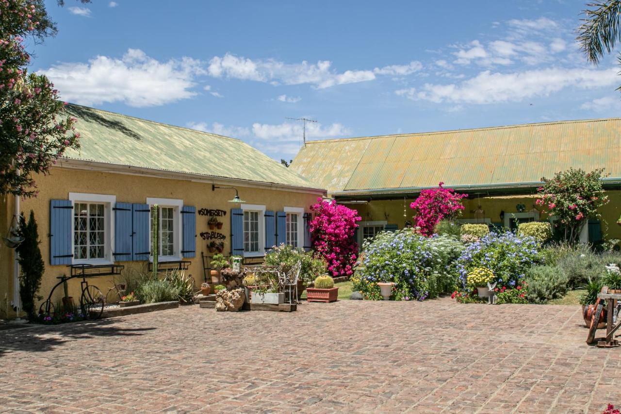 Somerset Stables Graaff-Reinet Eksteriør billede